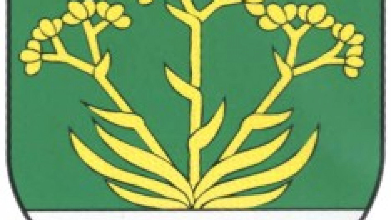 Fotografia fotogalérie Erb