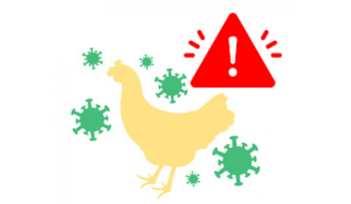 Fotka - Šírenie aviárnej influenzy ( vtáčej chrípky) na území SR